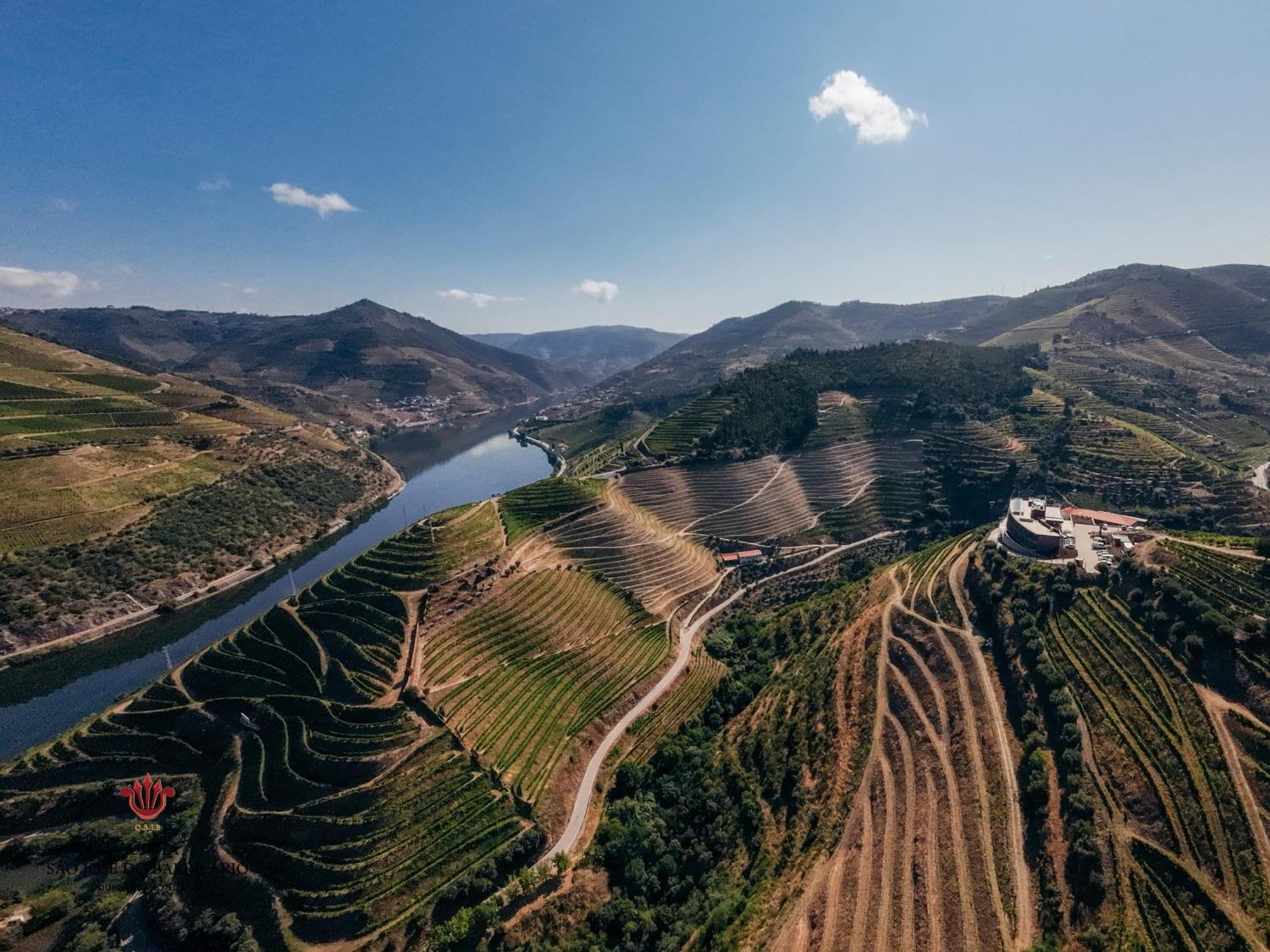 Barrilario Douro Wine Hotel E Spa - Quinta Sao Jose Do Barrilario Armamar Εξωτερικό φωτογραφία