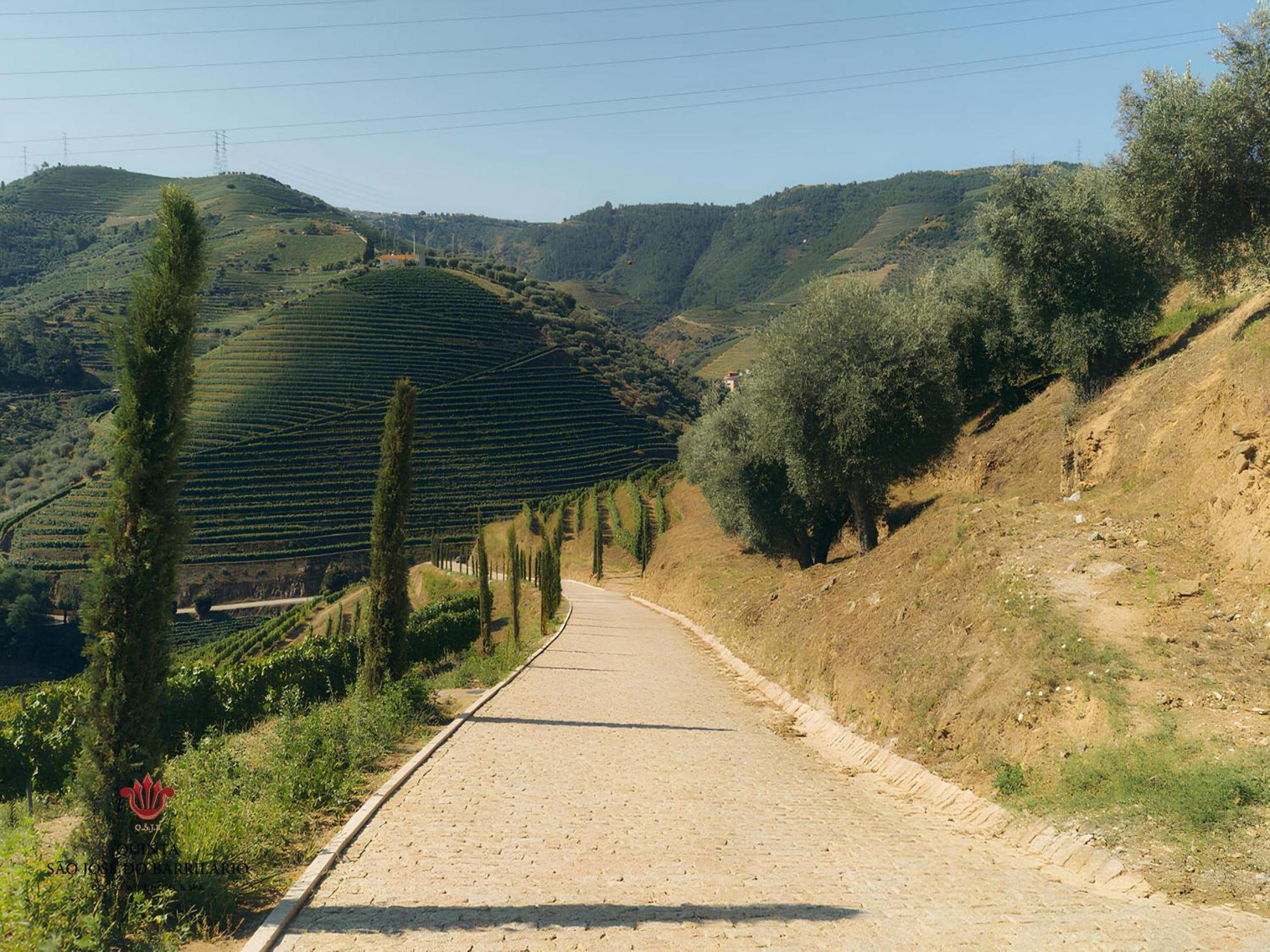 Barrilario Douro Wine Hotel E Spa - Quinta Sao Jose Do Barrilario Armamar Εξωτερικό φωτογραφία