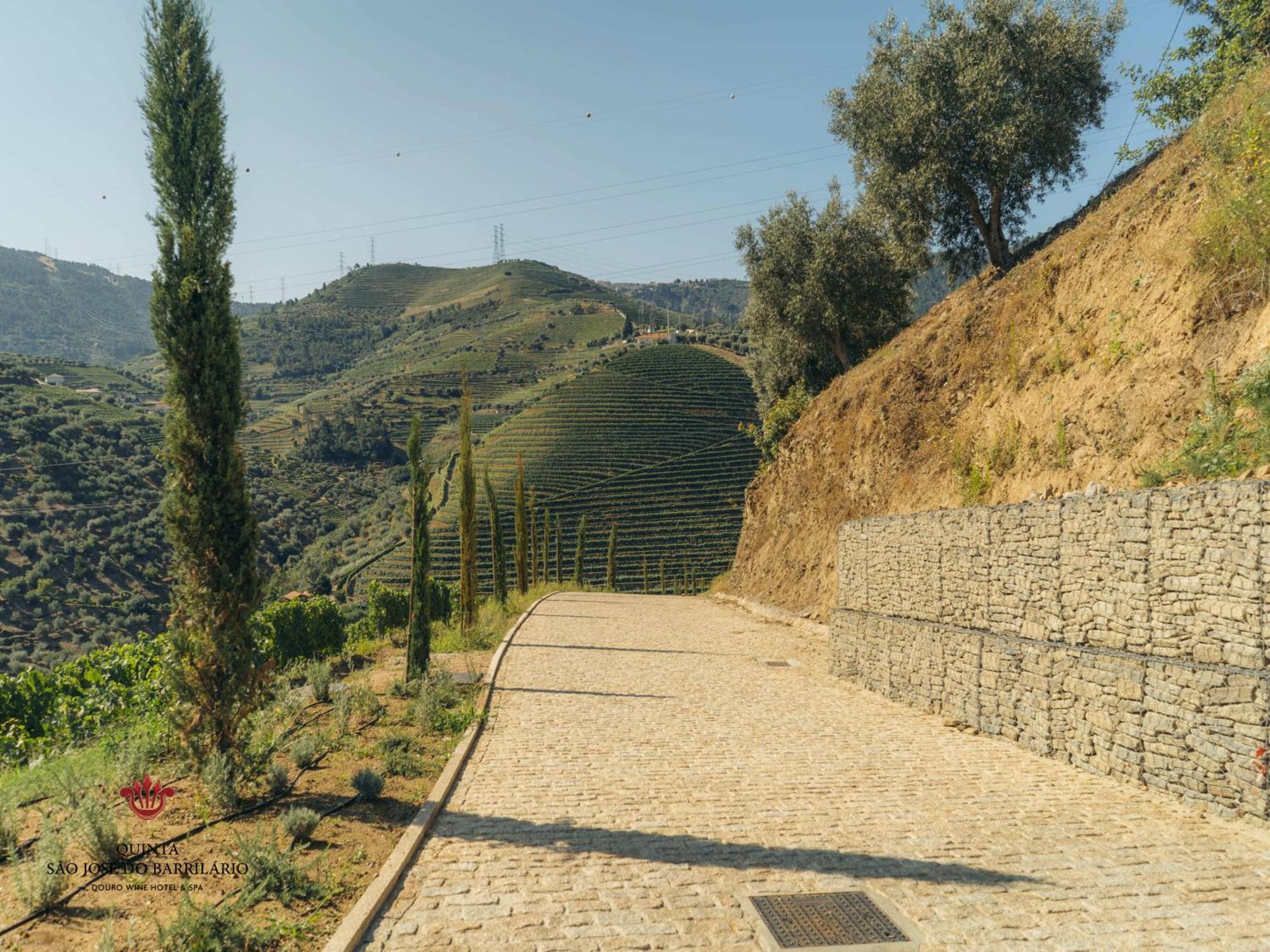 Barrilario Douro Wine Hotel E Spa - Quinta Sao Jose Do Barrilario Armamar Εξωτερικό φωτογραφία